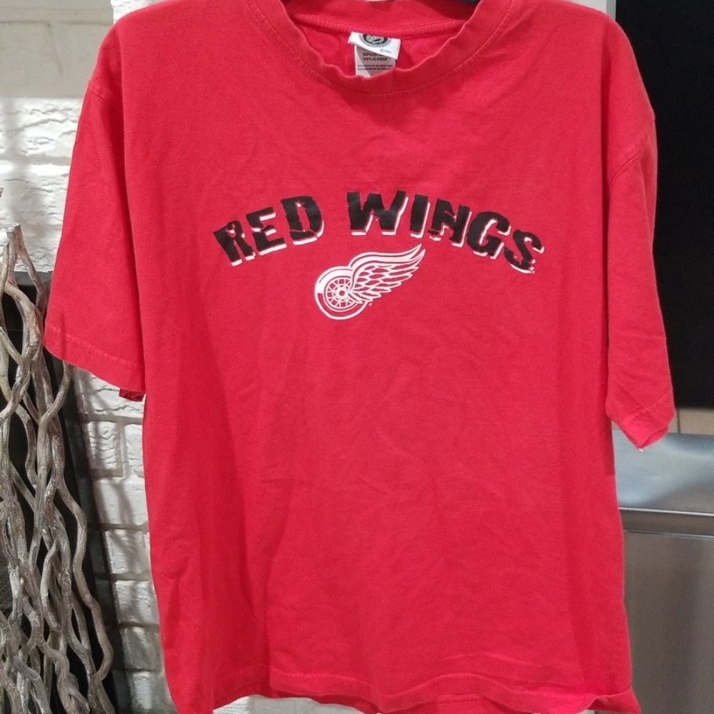 Detroit Redwings Embroidered Back Logo Shirt